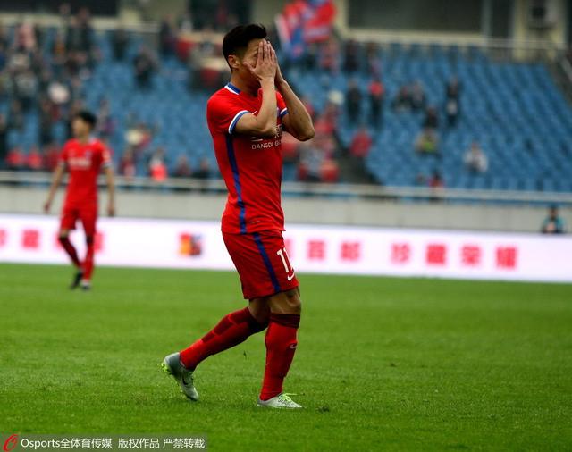 绿野仙踪林视频入口欢迎您