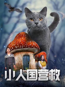 51短视频版在线观看www免费