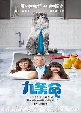 av在线播放网