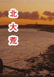 欧美一级视频在线播放