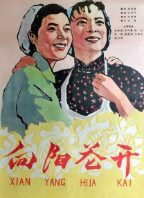 如狼似虎的大婶