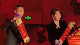 精品成人毛片一区二区视