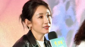 成年人视频在线免费观看