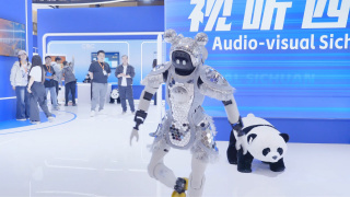 另类综合视频